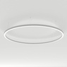 Светильник SP-LINE-HANG-ARC-O3535-D1500-102W Warm3000 (WHITE, 230V) (Arlight, Металл)
