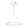 Светильник SP-CONGO-CAN-1-R400-24W Warm3000 (WH, 120 deg, 230V) (Arlight, IP20 Металл, 5 лет)