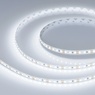Лента светодиодная RT-A120-8mm 12V Cool 8K (9.6 W/m, IP20, 2835, 5m) (Arlight, 9.6 Вт/м, IP20)