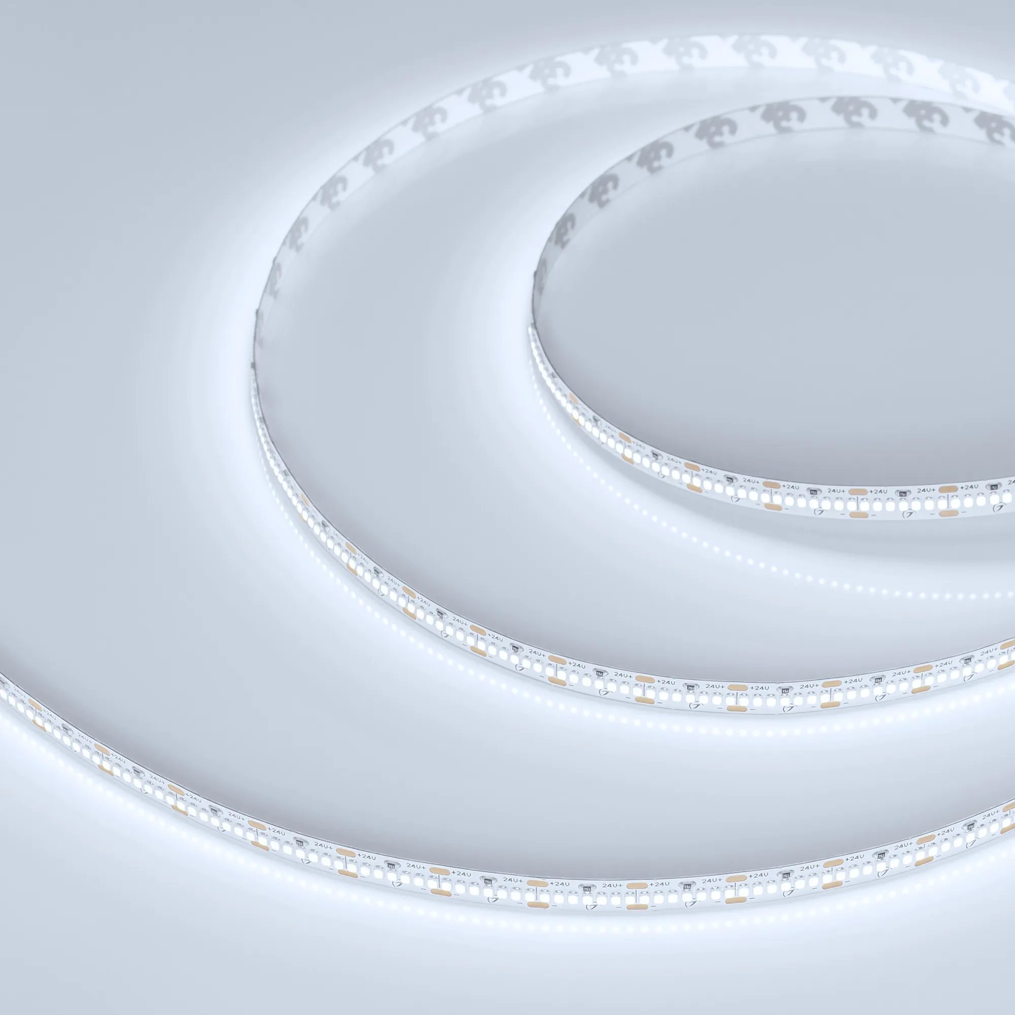 Лента светодиодная MICROLED-M420-8mm 24V White6000 (9.6 W/m, IP20, 2216, 5m) (Arlight, -) - изображение товара
