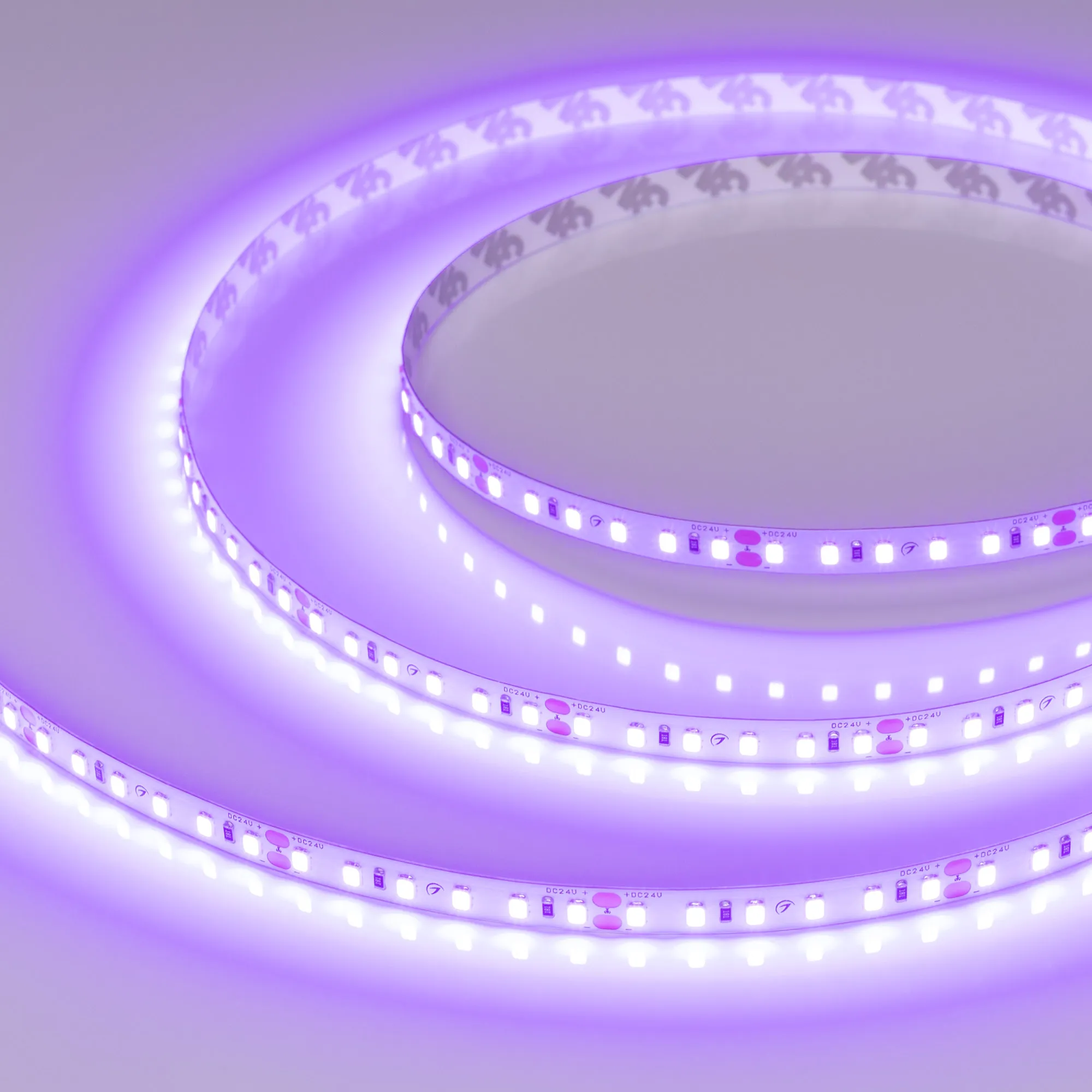 Лента светодиодная RT-A120-8mm 24V Violet (9.6 W/m, IP20, 2835, 5m) (Arlight, -) - изображение товара