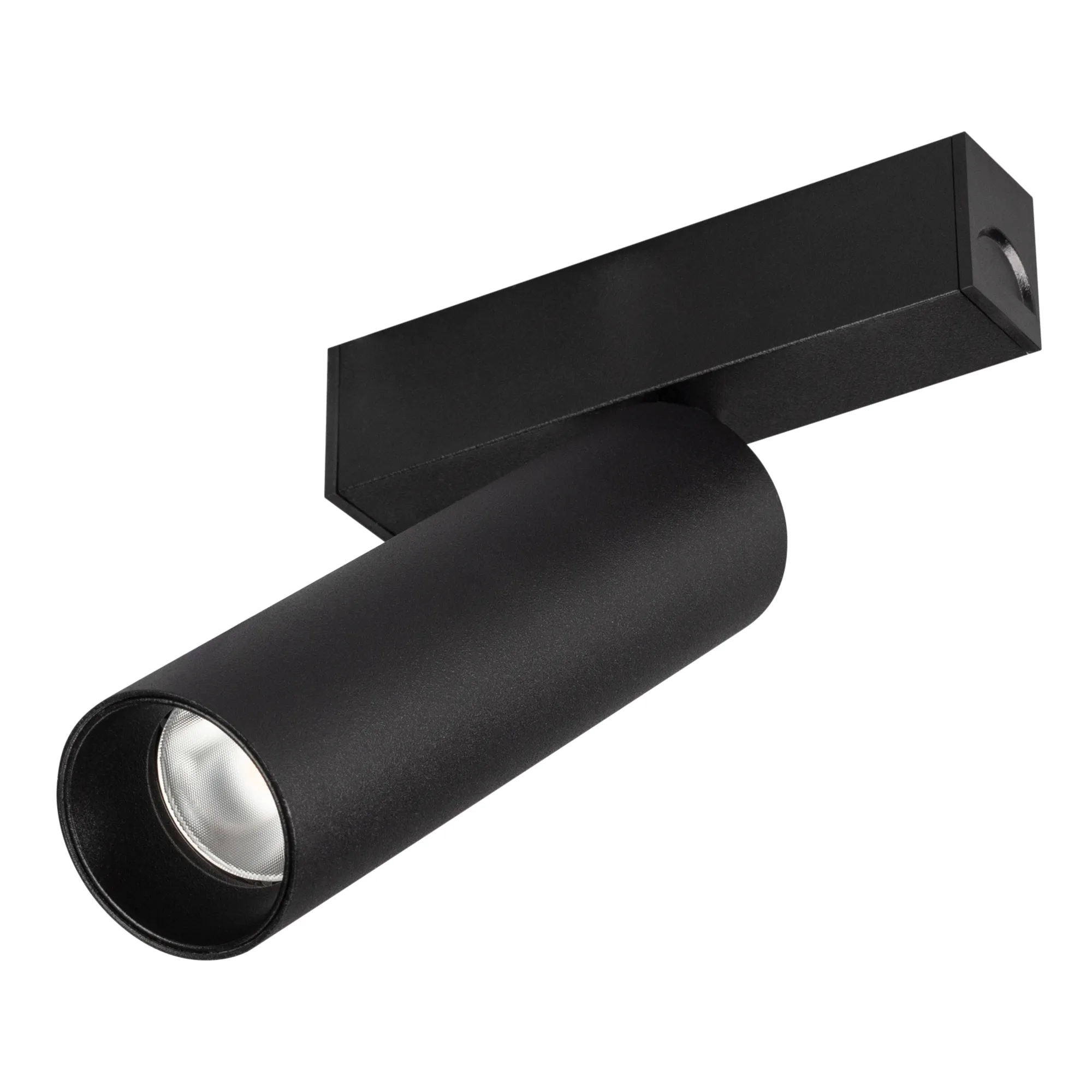 Светильник MAG-SPOT-25-R120-12W Day4000 (BK, 30 deg, 24V) (Arlight, IP20 Металл, 3 года) - изображение товара