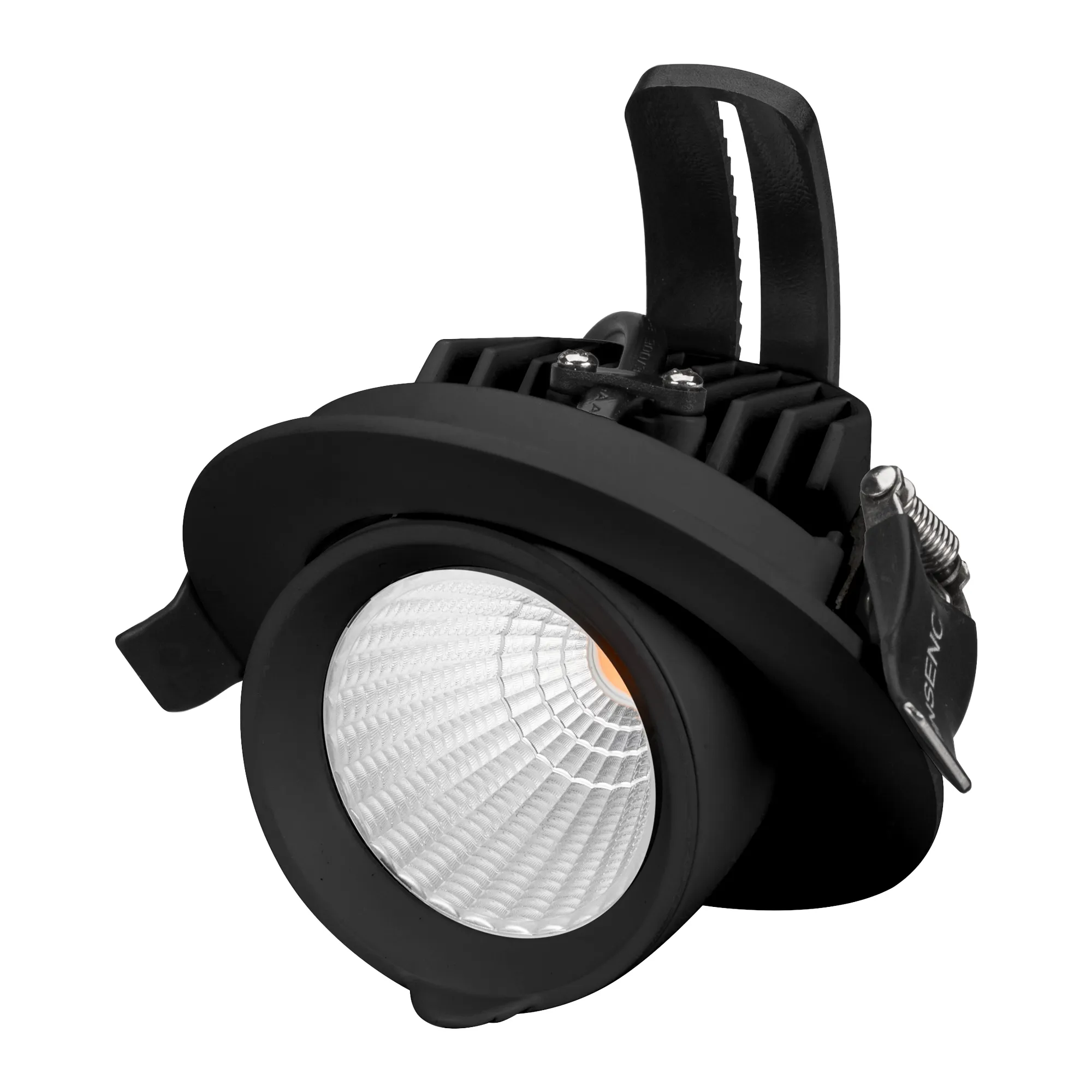 Светильник LTD-EXPLORER-R100-12W Day4000 (BK, 38 deg, 230V) (Arlight, IP20 Металл, 3 года) - изображение товара