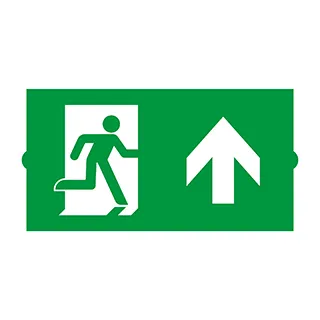 Пиктограмма EMGP-DIRECT-UP (Вверх) (Arlight, Пластик) - изображение товара